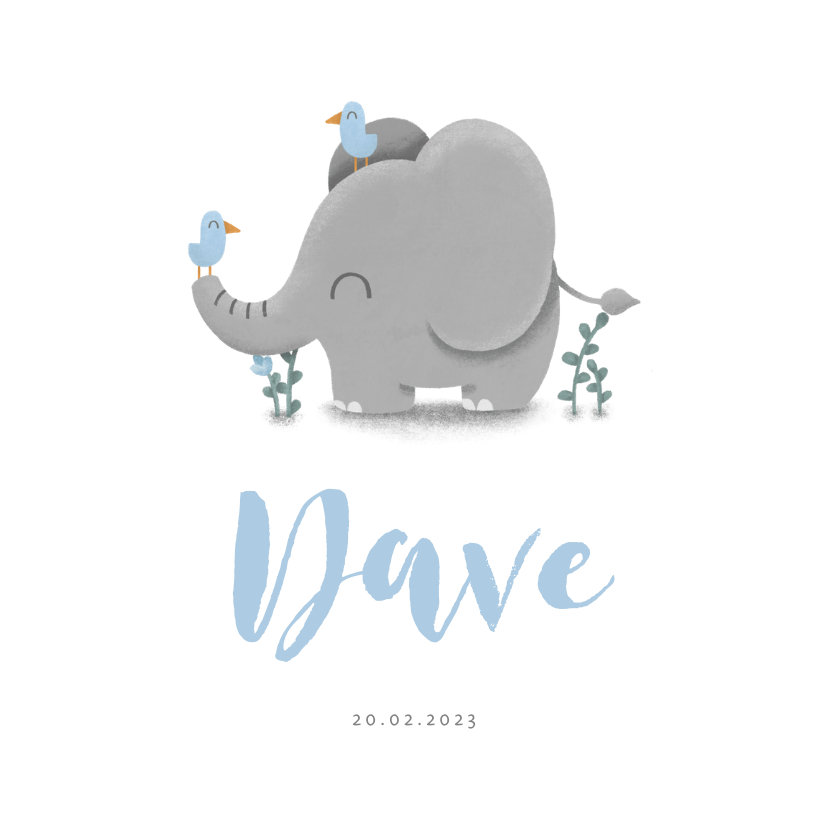 Geboortekaartje jongen met lieve olifant en vogeltjes - Geboortekaartjes Geboortekaartjes - Geboortekaartje jongen met lieve olifant en vogeltjes