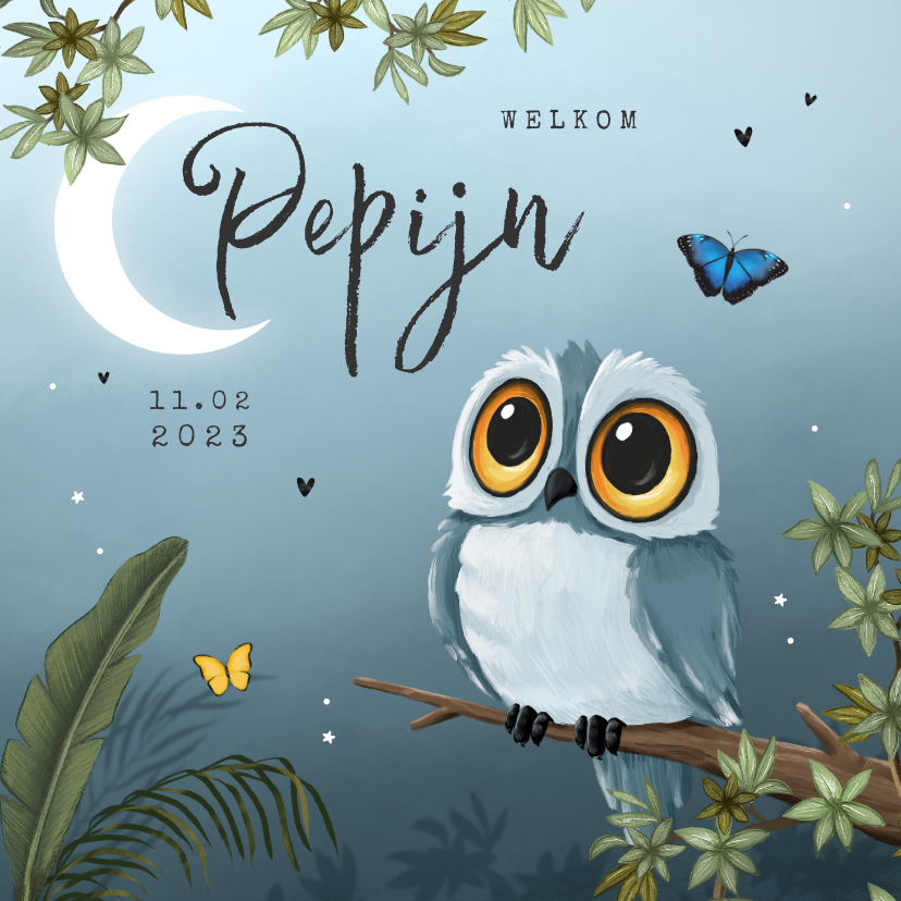 Geboortekaartje jongen uil nachtvlinders jungle boom sterren - Geboortekaartjes Geboortekaartjes - Geboortekaartje jongen uil nachtvlinders jungle boom sterren