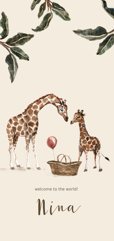 Geboortekaartjes - Geboortekaartje jungle grote en kleine giraf