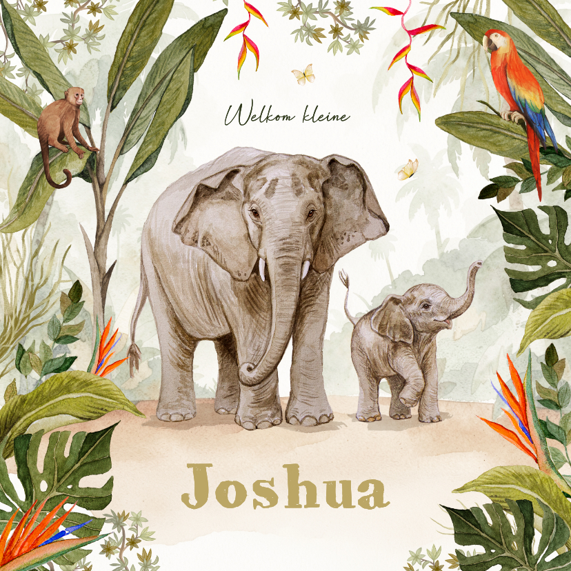 Geboortekaartjes - Geboortekaartje jungle olifanten baby schattig unisex