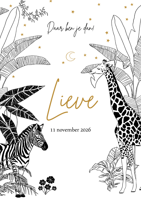 Geboortekaartjes - Geboortekaartje jungle thema met zebra en giraffe