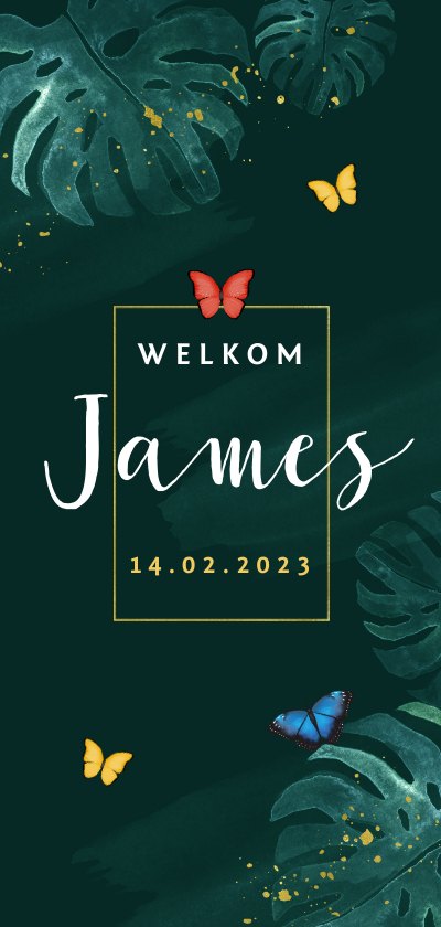 Geboortekaartje jungle vlinders jongen tropisch - Geboortekaartjes Geboortekaartjes - Geboortekaartje jungle vlinders jongen tropisch