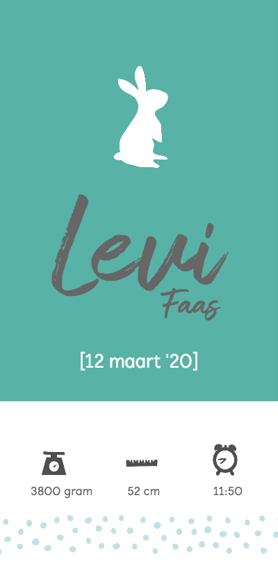 Geboortekaartje konijn langwerpig lief - Geboortekaartjes Geboortekaartjes - Geboortekaartje konijn langwerpig lief