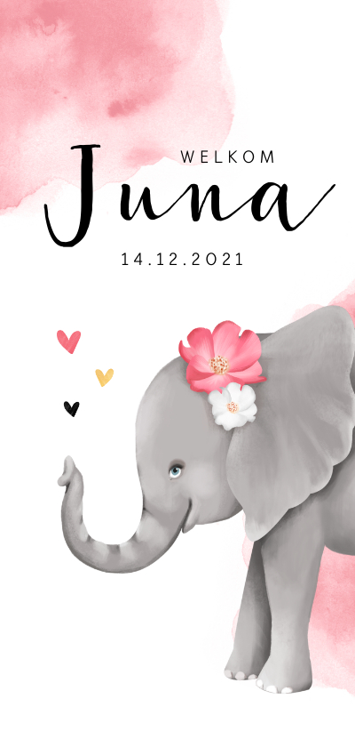 Geboortekaartje lief met olifantje voor meisje - Geboortekaartjes Geboortekaartjes - Geboortekaartje lief met olifantje voor meisje