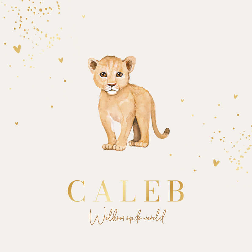 Geboortekaartje lief unisex leeuw welpje hartjes goud - Geboortekaartjes Geboortekaartjes - Geboortekaartje lief unisex leeuw welpje hartjes goud
