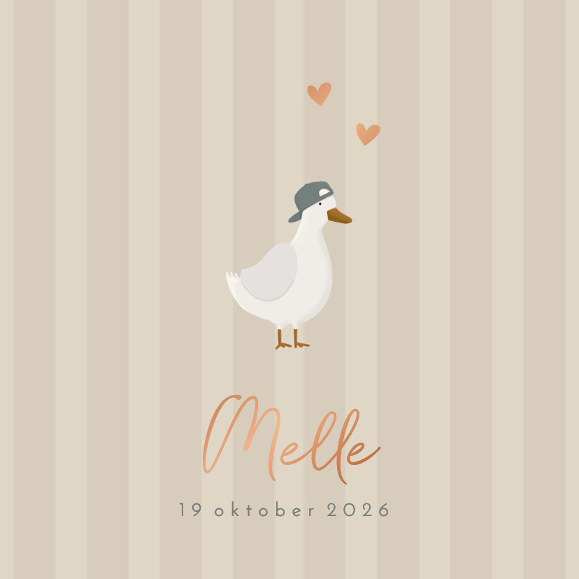 Geboortekaartje lieve gans met stoer petje - Geboortekaartjes Geboortekaartjes - Geboortekaartje lieve gans met stoer petje