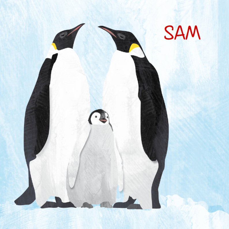 Geboortekaartje lieve pinguin - Geboortekaartjes Geboortekaartjes - Geboortekaartje lieve pinguin
