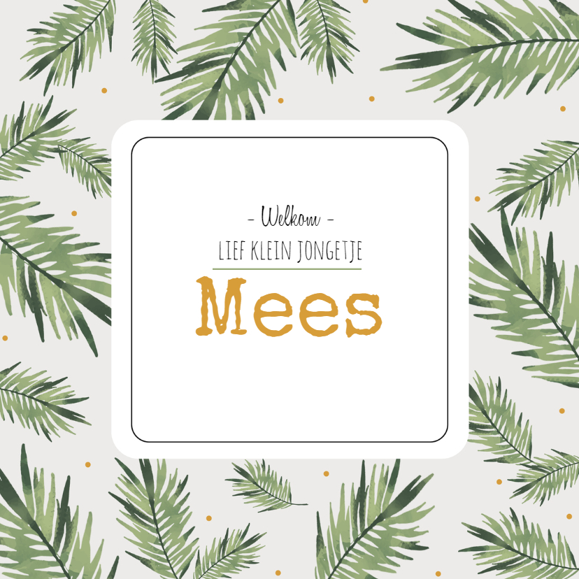 Geboortekaartje Mees - HM - Geboortekaartjes Geboortekaartjes - Geboortekaartje Mees - HM