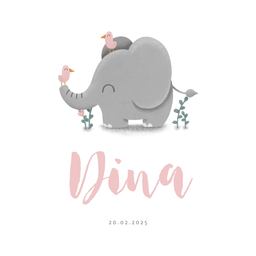 Geboortekaartje meisje met lieve olifant en vogeltjes - Geboortekaartjes Geboortekaartjes - Geboortekaartje meisje met lieve olifant en vogeltjes