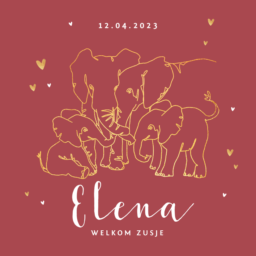 Geboortekaartjes - Geboortekaartje meisje olifant dieren zusje broertje goud