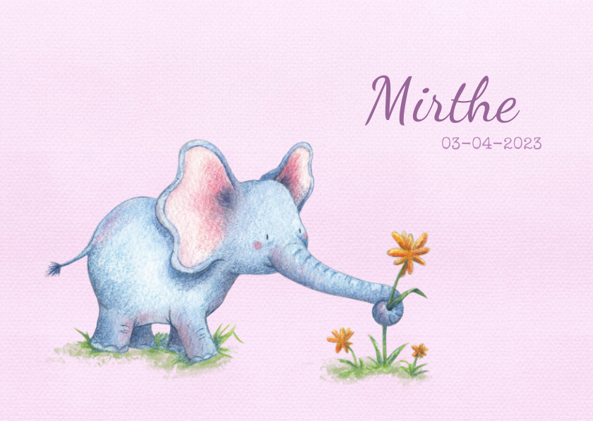 Geboortekaartjes - Geboortekaartje meisje: Olifantje plukt bloem