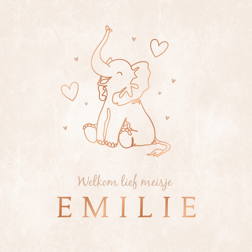 Geboortekaartje meisje trend olifant line art sand - Geboortekaartjes Geboortekaartjes - Geboortekaartje meisje trend olifant line art sand