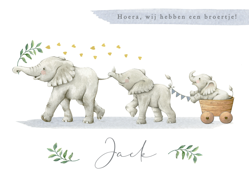 Geboortekaartjes - Geboortekaartje met drie olifantjes in een vrolijke stoet!