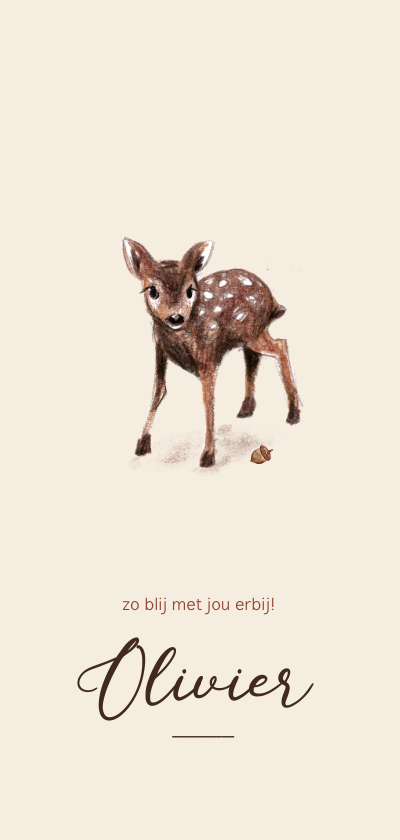 Geboortekaartje met een illustratie van een lief hertje - Geboortekaartjes Geboortekaartjes - Geboortekaartje met een illustratie van een lief hertje