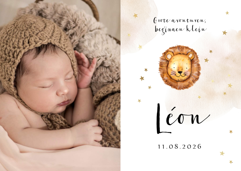 Geboortekaartjes - Geboortekaartje met grote foto, leeuwtje en sterretjes