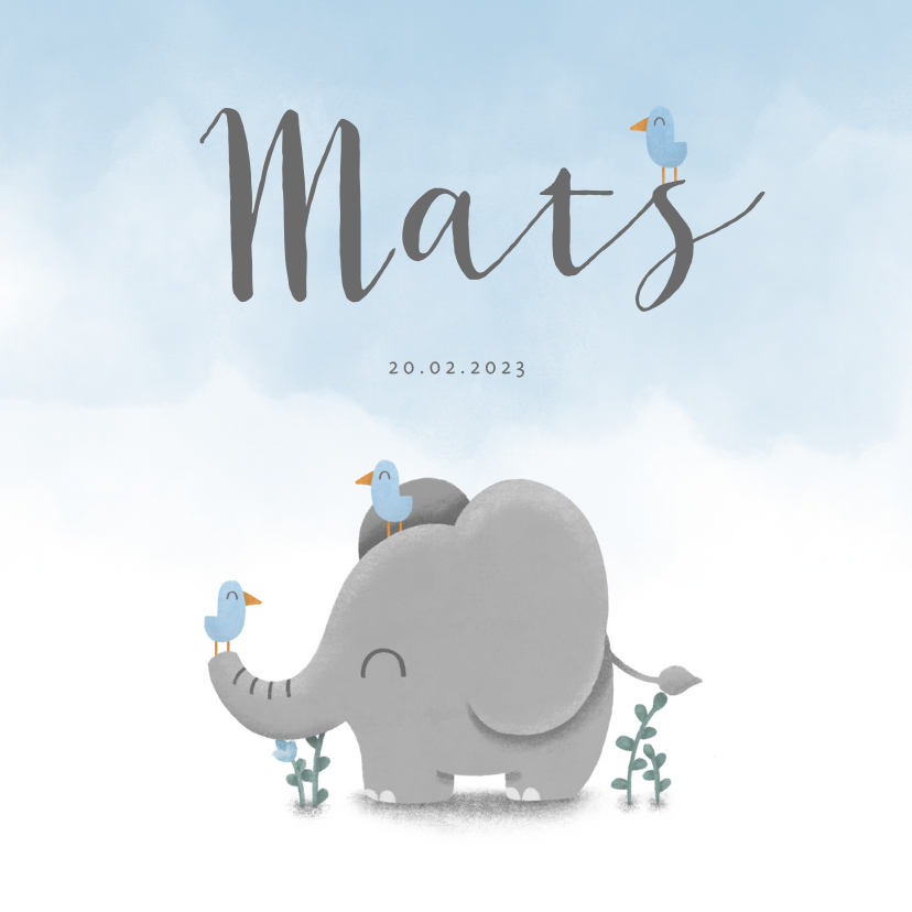 Geboortekaartjes - Geboortekaartje met lieve olifant, vogeltjes en waterverf