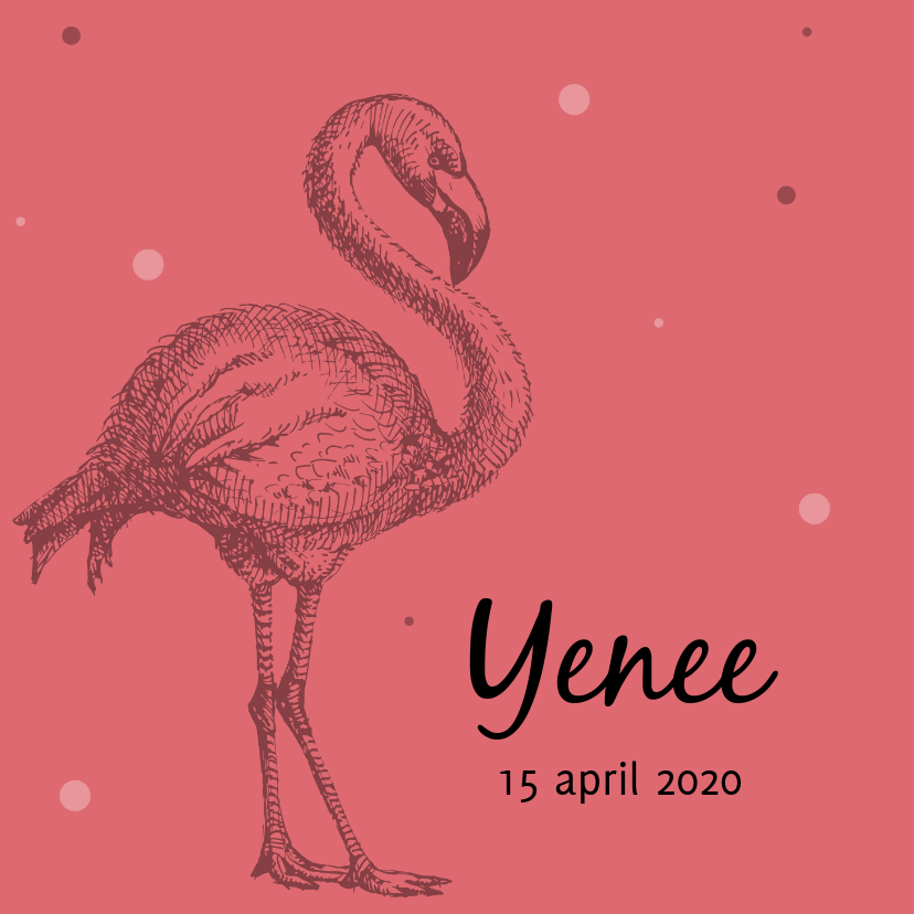 Geboortekaartje met mooie flamingo - Geboortekaartjes Geboortekaartjes - Geboortekaartje met mooie flamingo