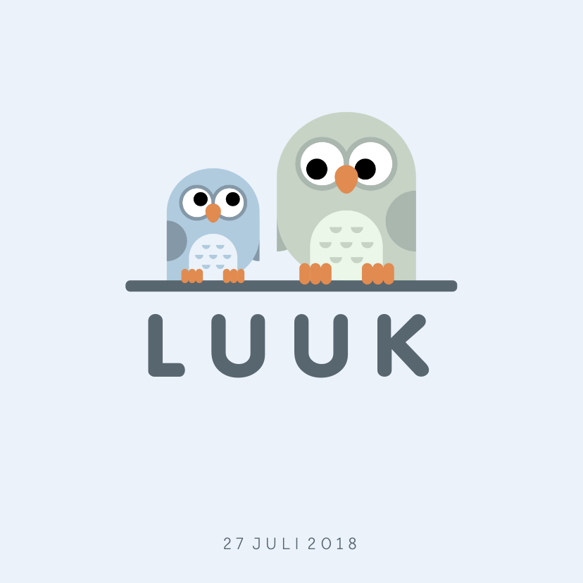 Geboortekaartje met simpel lief blauw uiltje en broer/zus - Geboortekaartjes Geboortekaartjes - Geboortekaartje met simpel lief blauw uiltje en broer/zus