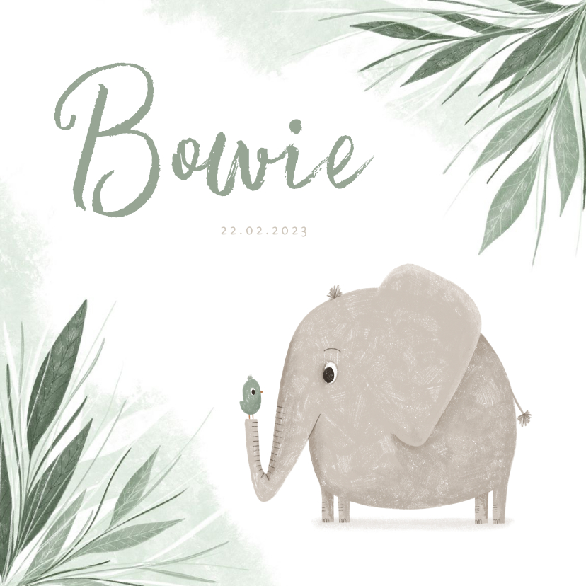 Geboortekaartjes - Geboortekaartje olifant met vogel en groene jungle blaadjes