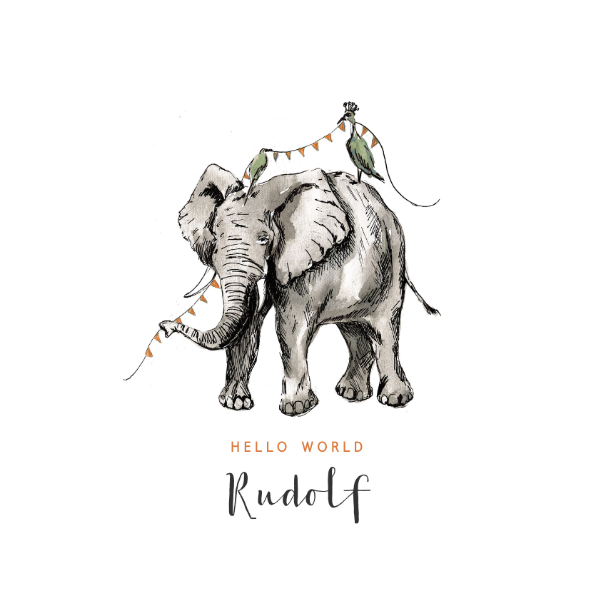 Geboortekaartje olifant waterverf vlaggen kraanvogel - Geboortekaartjes Geboortekaartjes - Geboortekaartje olifant waterverf vlaggen kraanvogel
