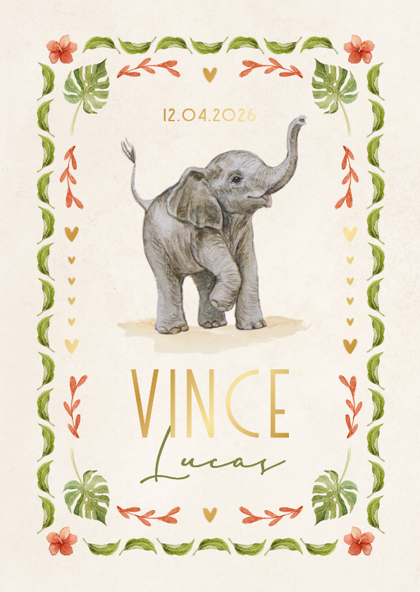 Geboortekaartjes - Geboortekaartje olifantje jungle kleurrijk vrolijk kader