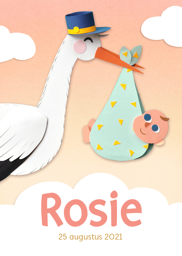 Geboortekaartje ooievaar met meisje - Geboortekaartjes Geboortekaartjes - Geboortekaartje ooievaar met meisje