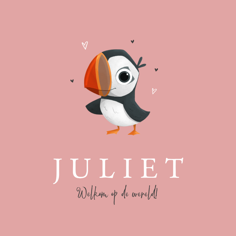 Geboortekaartjes - Geboortekaartje papegaaiduiker vogeltje hartjes meisje