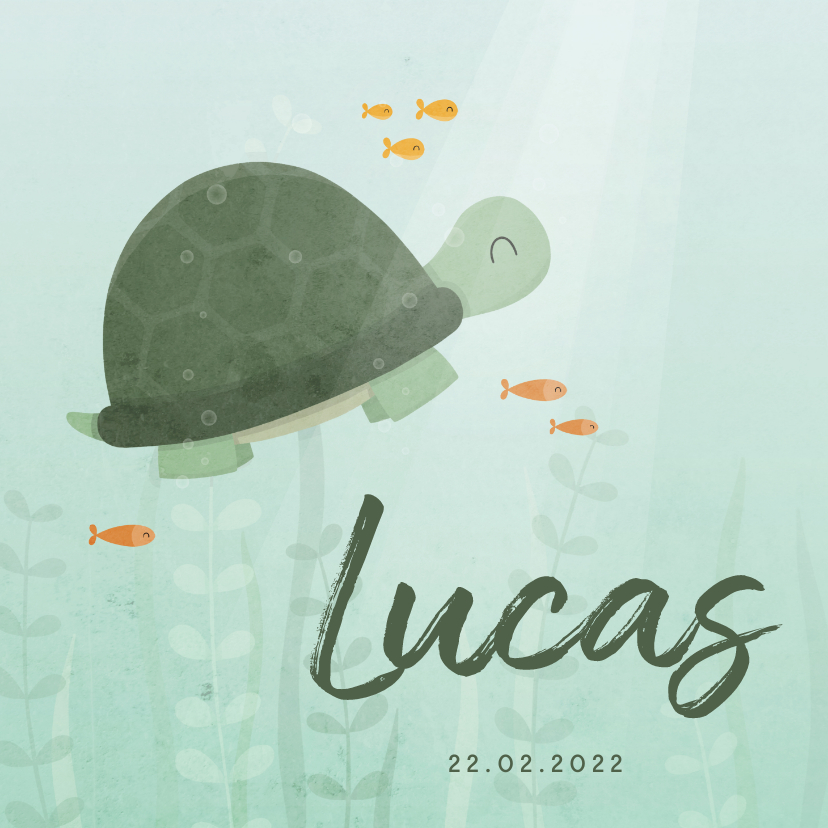 Geboortekaartje schildpad onderwater met visjes - Geboortekaartjes Geboortekaartjes - Geboortekaartje schildpad onderwater met visjes