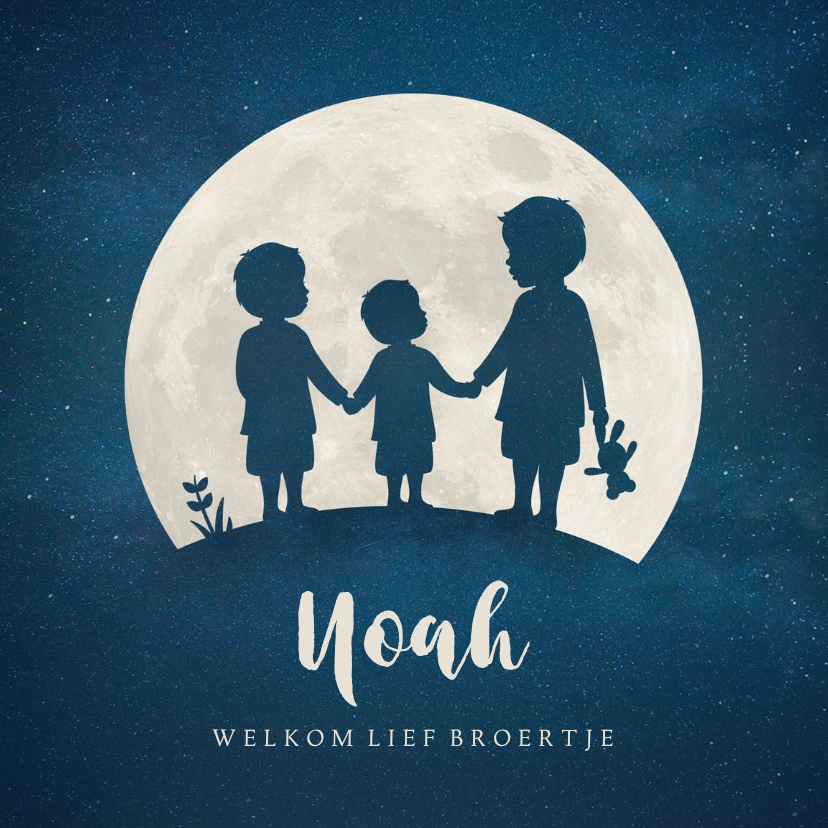 Geboortekaartje silhouet 3 broers hand in hand in volle maan - Geboortekaartjes Geboortekaartjes - Geboortekaartje silhouet 3 broers hand in hand in volle maan