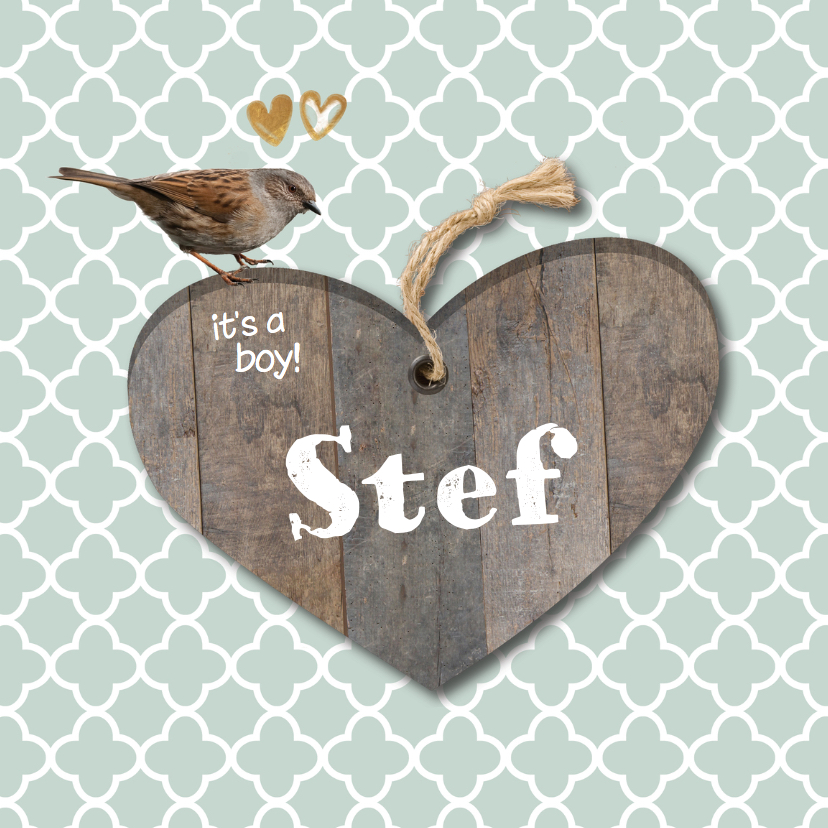 Geboortekaartje Stef mint groen hout- LO - Geboortekaartjes Geboortekaartjes - Geboortekaartje Stef mint groen hout- LO