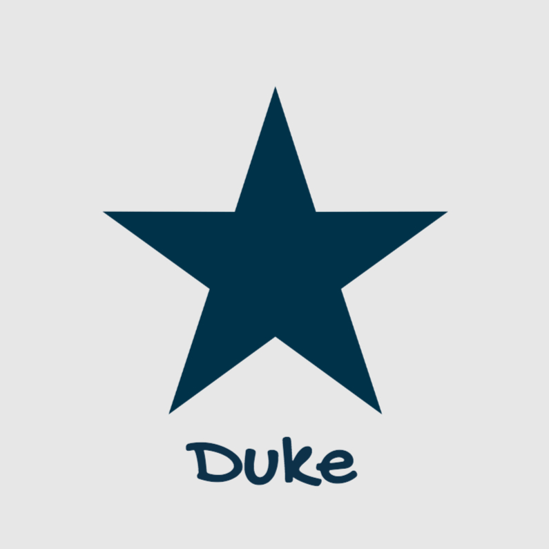 Geboortekaartje-ster-Duke-SK - Geboortekaartjes Geboortekaartjes - Geboortekaartje-ster-Duke-SK