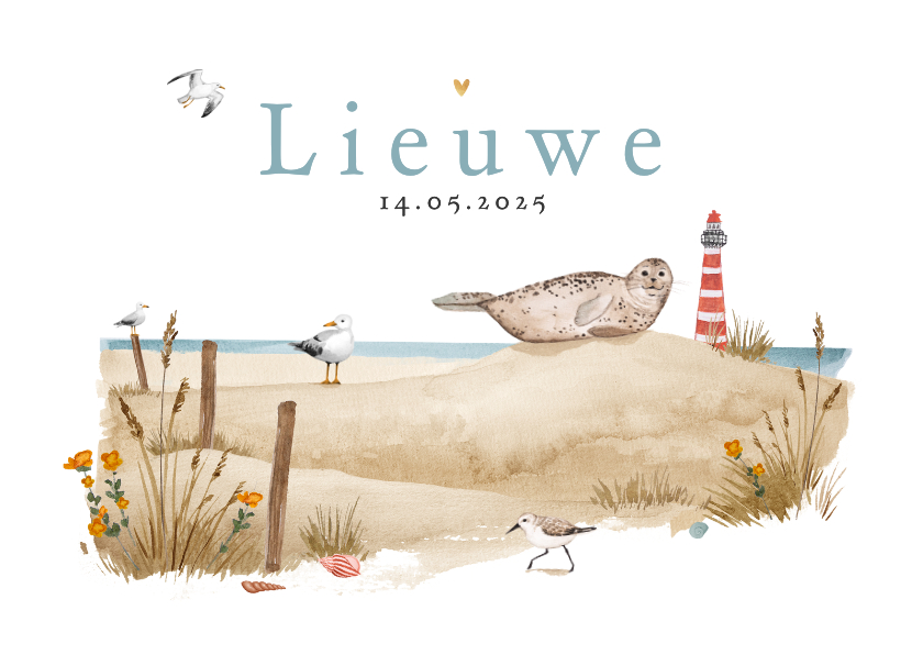 Geboortekaartjes - Geboortekaartje strand dieren vuurtoren zee vogels schelpen