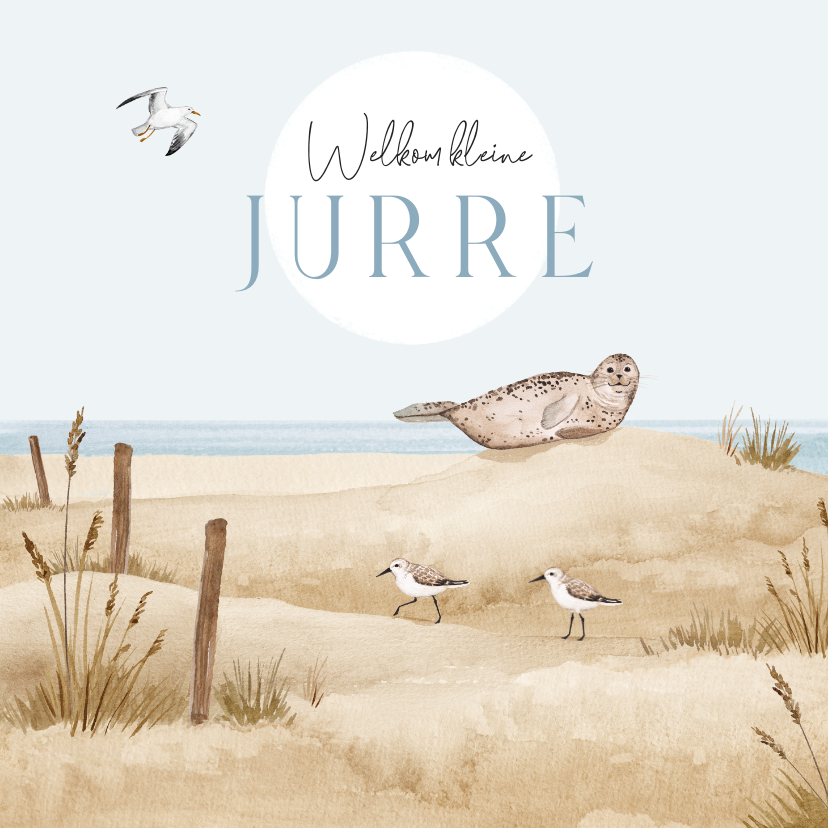 Geboortekaartjes - Geboortekaartje strand waterverf dieren zeehond vogels zomer