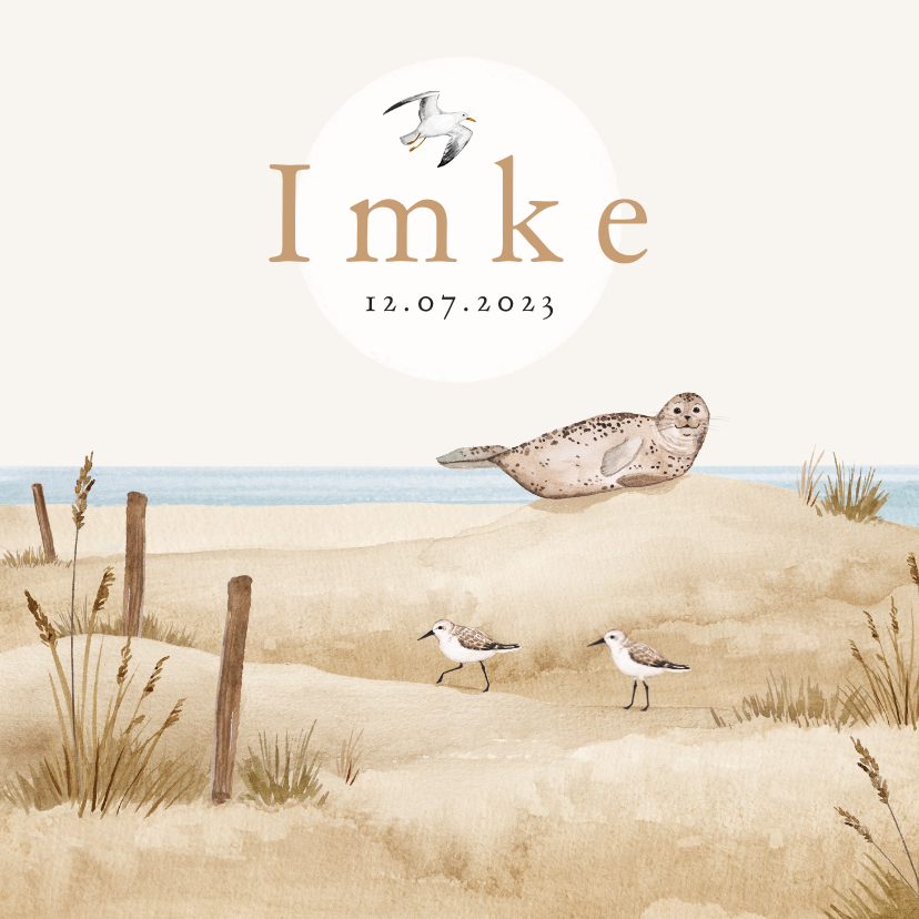 Geboortekaartjes - Geboortekaartje strand zee dieren vogels zeehond unisex