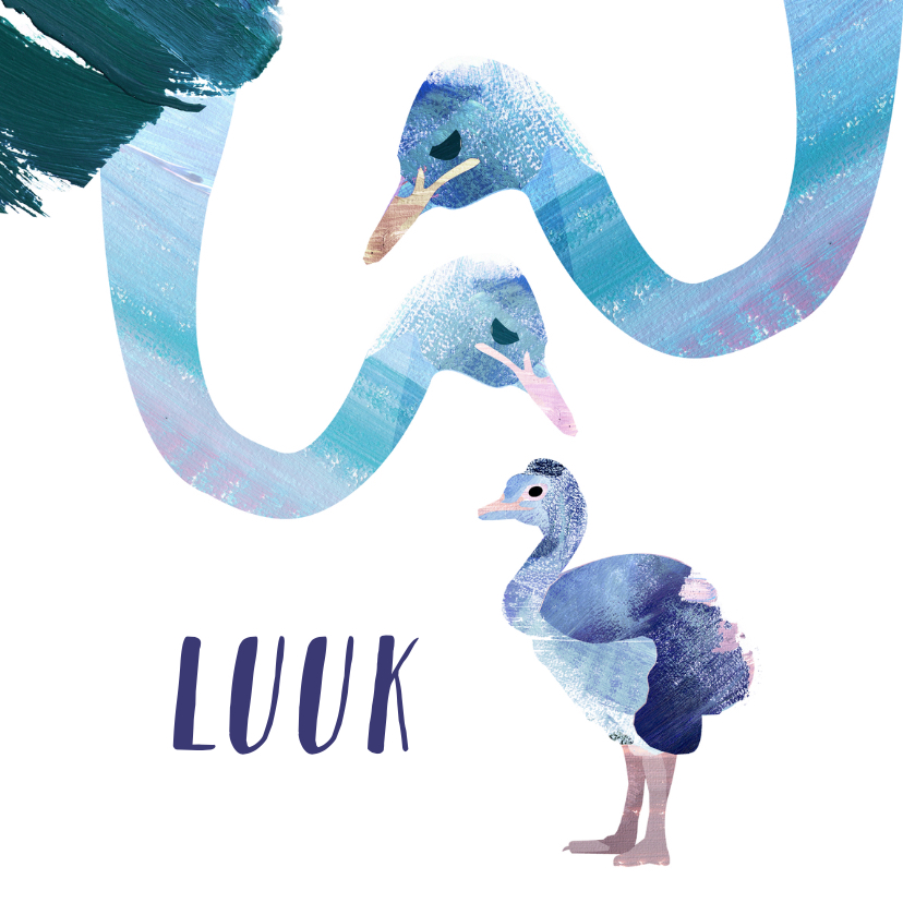 Geboortekaartje Struisvogels - Geboortekaartjes Geboortekaartjes - Geboortekaartje Struisvogels