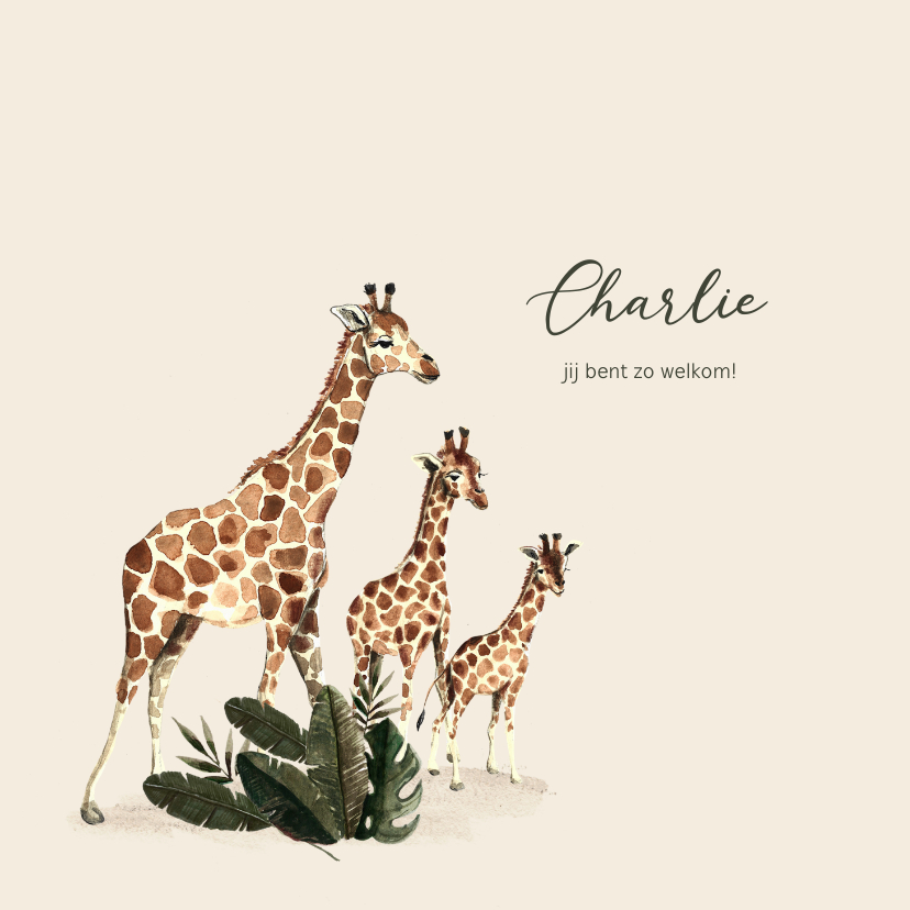 Geboortekaartjes - Geboortekaartje tweede kindje met getekende giraffen 