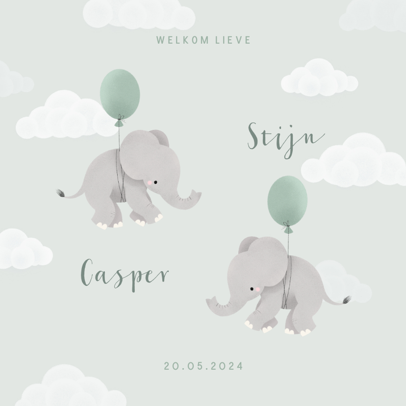 Geboortekaartjes - Geboortekaartje tweeling met olifantjes en ballonnen