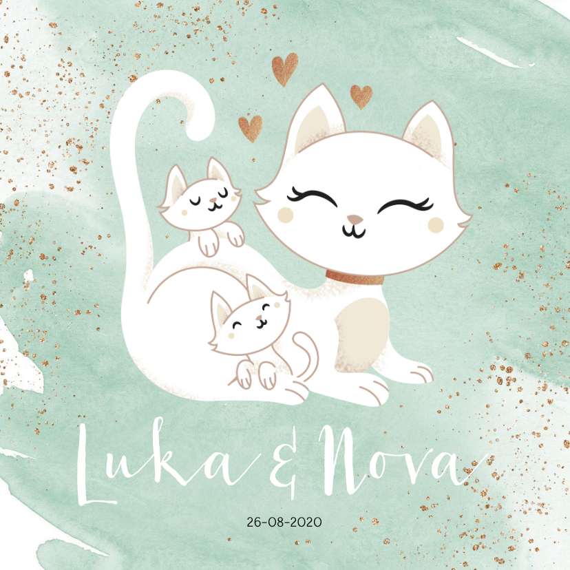 Geboortekaartjes - Geboortekaartje tweeling neutraal jongen meisje poes kittens