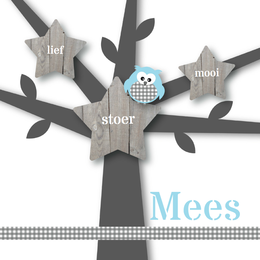 Geboortekaartje uiltje boom boy - Geboortekaartjes Geboortekaartjes - Geboortekaartje uiltje boom boy