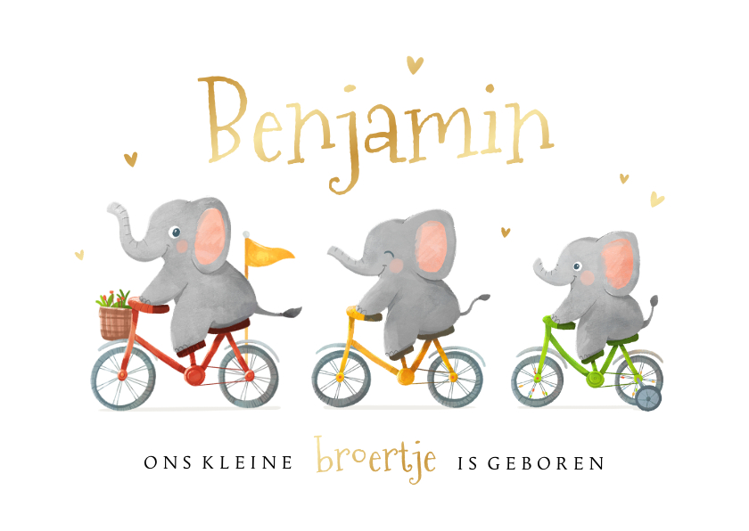 Geboortekaartje unisex broertje zusje dieren olifantjes goud - Geboortekaartjes Geboortekaartjes - Geboortekaartje unisex broertje zusje dieren olifantjes goud