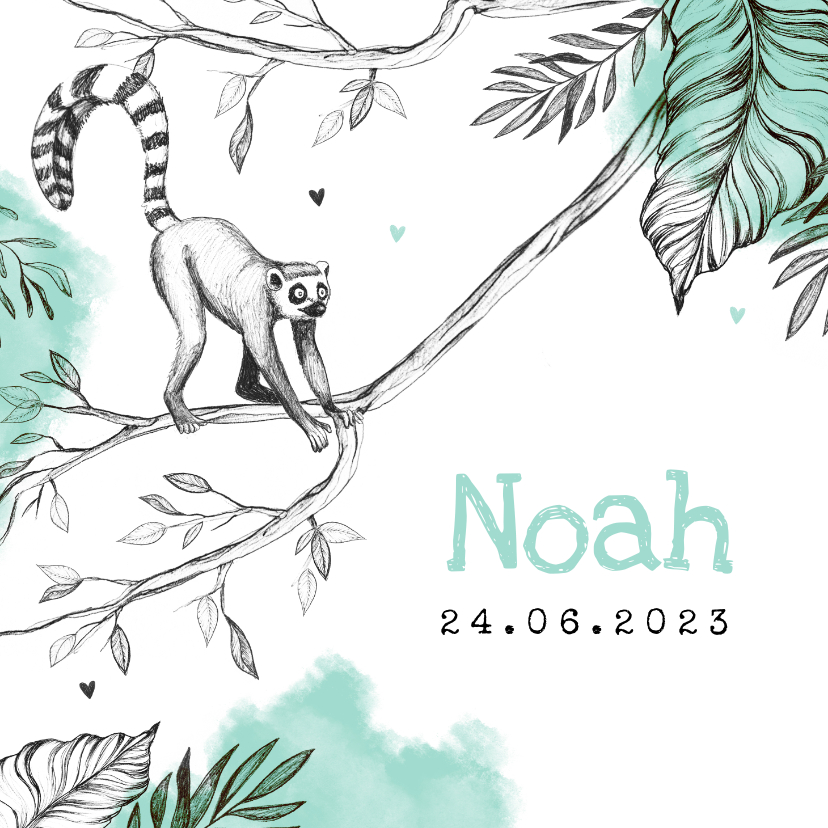 Geboortekaartjes - Geboortekaartje unisex dieren jungle maki mint