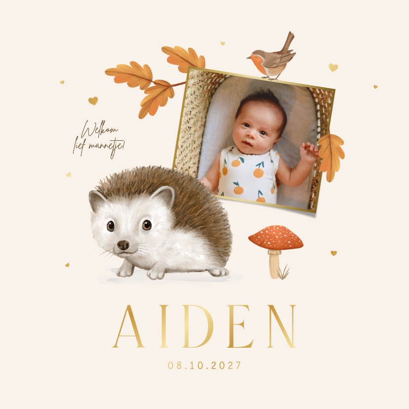 Geboortekaartje unisex herfst dieren egel vogel roodborstje - Geboortekaartjes Geboortekaartjes - Geboortekaartje unisex herfst dieren egel vogel roodborstje