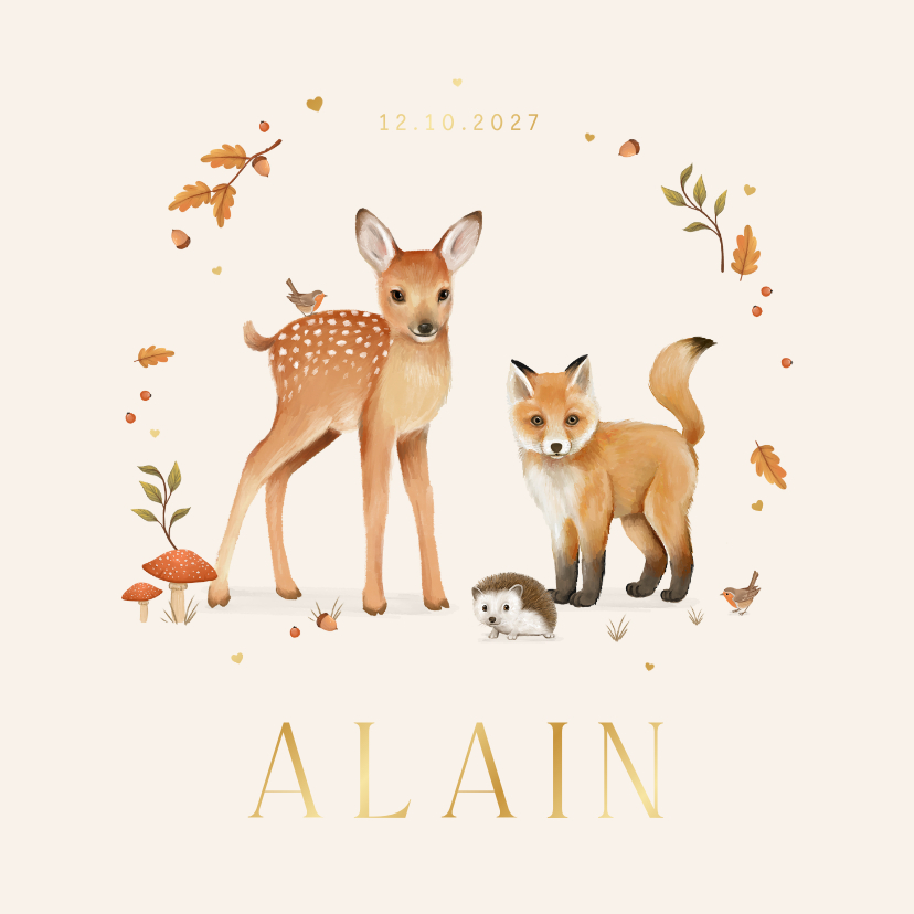 Geboortekaartje unisex herfst dieren vos hert egel vogel - Geboortekaartjes Geboortekaartjes - Geboortekaartje unisex herfst dieren vos hert egel vogel