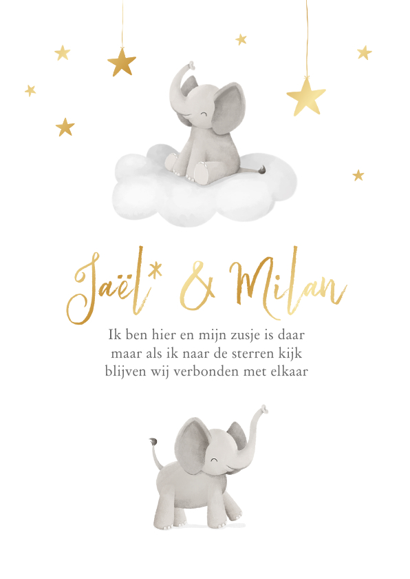 Geboortekaartje unisex olifantjes sterren hemel tweeling - Geboortekaartjes Geboortekaartjes - Geboortekaartje unisex olifantjes sterren hemel tweeling