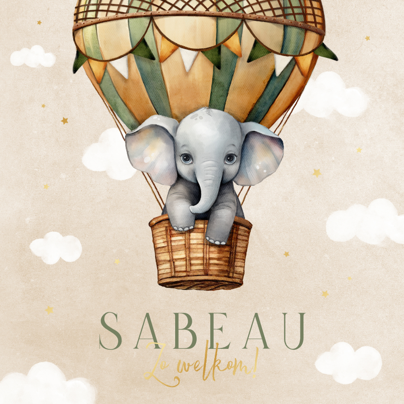 Geboortekaartjes - Geboortekaartje unisex vintage luchtballon olifantje lief