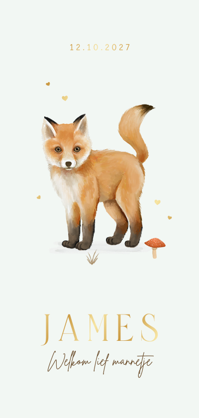 Geboortekaartje unisex vosje dieren herfst egel hartjes - Geboortekaartjes Geboortekaartjes - Geboortekaartje unisex vosje dieren herfst egel hartjes