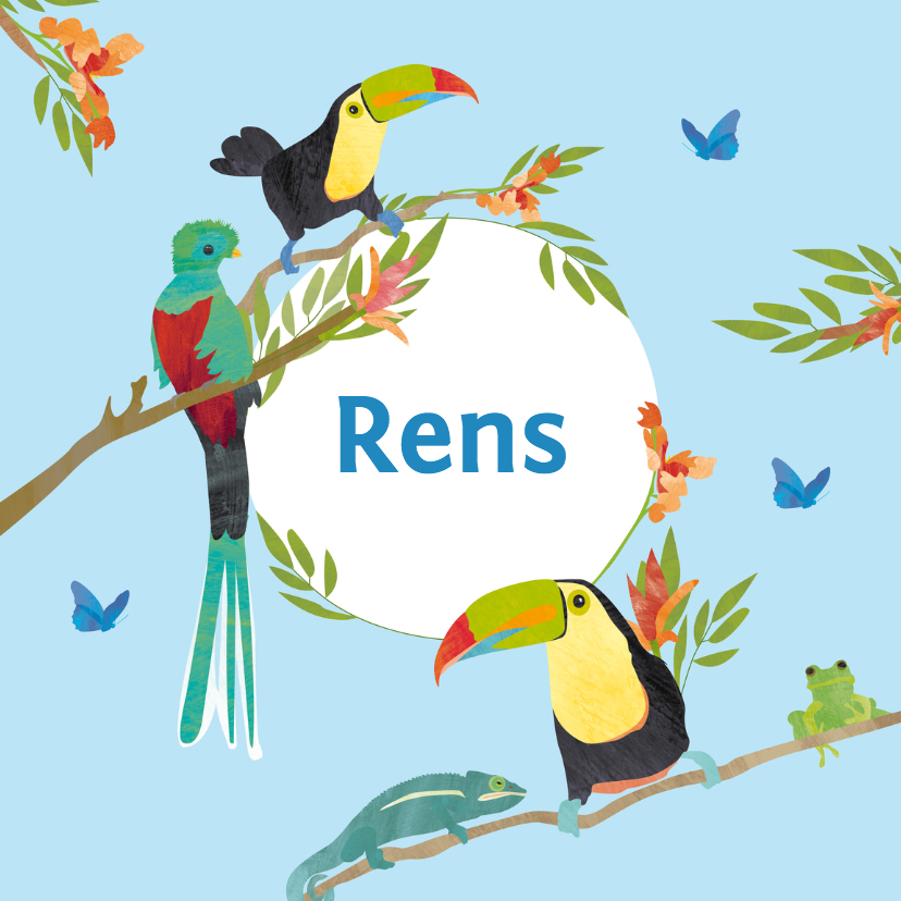 Geboortekaartje vogeljungle - Geboortekaartjes Geboortekaartjes - Geboortekaartje vogeljungle