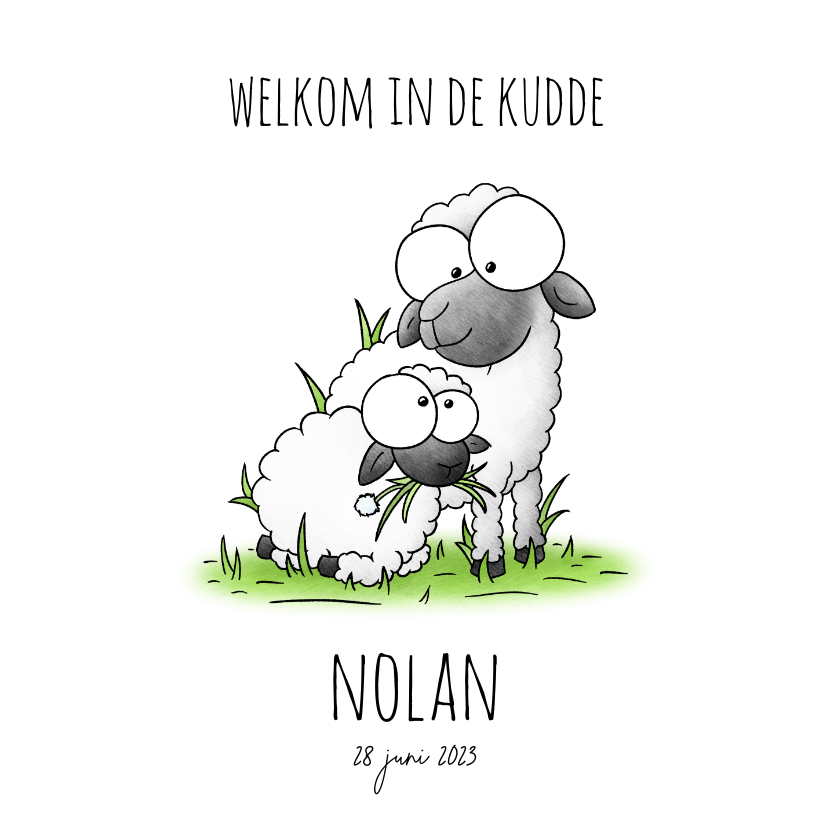 Geboortekaartje welkom in de kudde lief klein lammetje - Geboortekaartjes Geboortekaartjes - Geboortekaartje welkom in de kudde lief klein lammetje