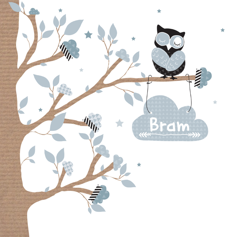 Geboortekaartje wolkjes uil Bram - Geboortekaartjes Geboortekaartjes - Geboortekaartje wolkjes uil Bram
