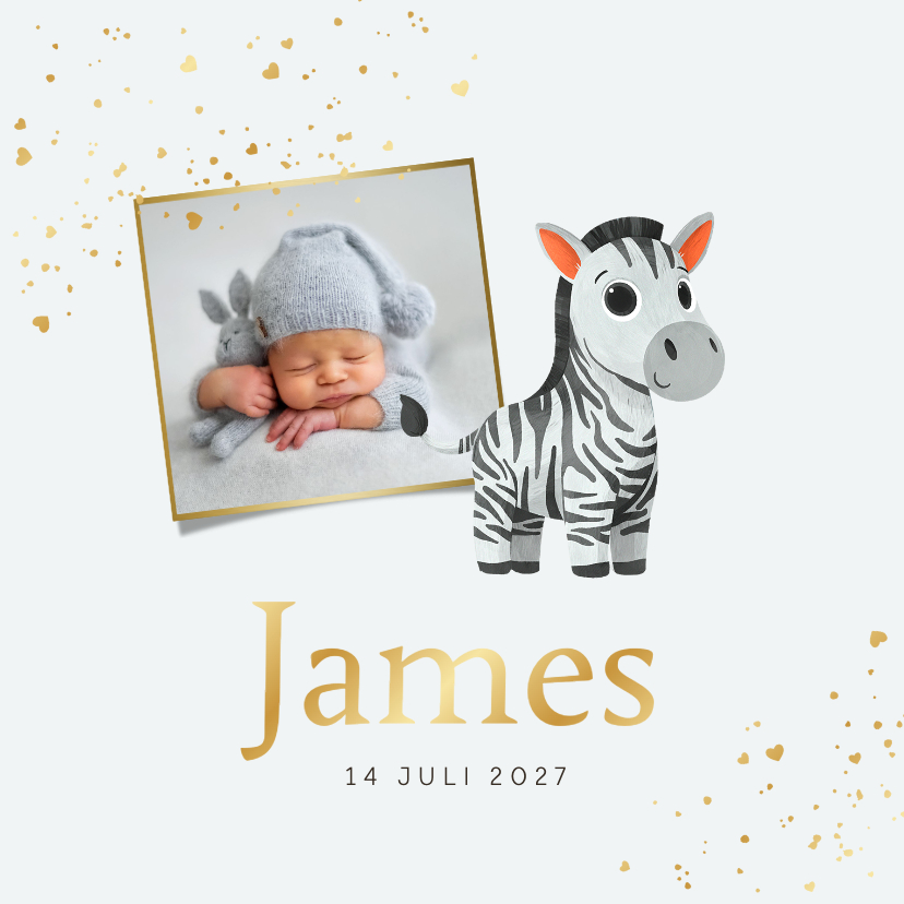 Geboortekaartjes - Geboortekaartje zebra foto goud hartjes jongen